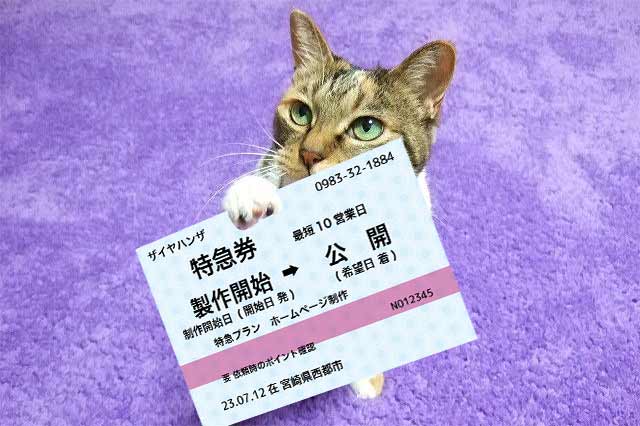 特急プランのチケットイメージ